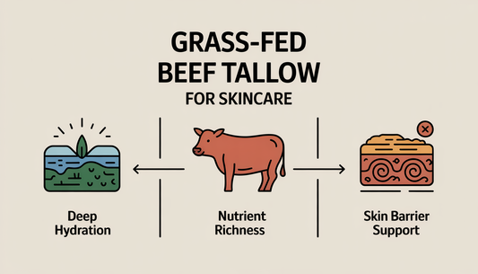 Infographic showing benefits of grass-fed beef tallow with icons for hydration, nutrients, and skin support in a vintage style.